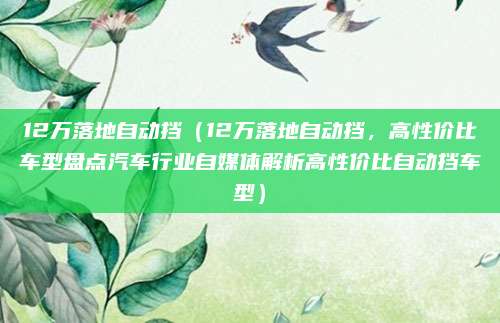 12万落地自动挡（12万落地自动挡，高性价比车型盘点汽车行业自媒体解析高性价比自动挡车型）