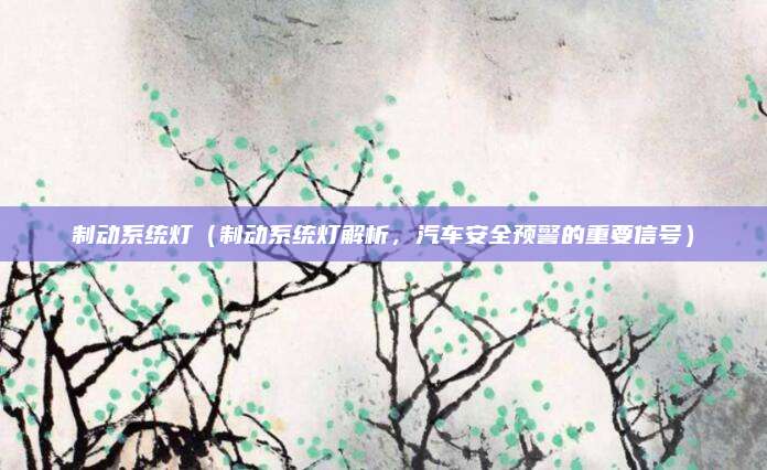 制动系统灯（制动系统灯解析，汽车安全预警的重要信号）