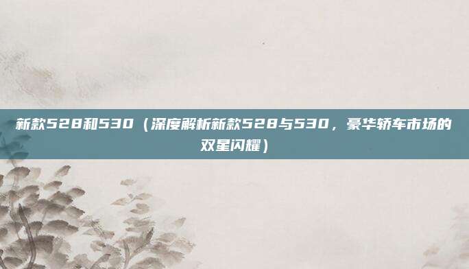 新款528和530(深度解析新款528与530,豪华轿车市场的双星闪耀)