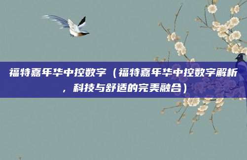 福特嘉年华中控数字（福特嘉年华中控数字解析，科技与舒适的完美融合）