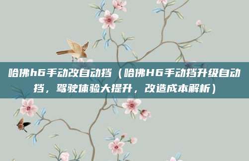 哈佛h6手动改自动挡(哈佛H6手动挡升级自动挡,驾驶体验大提升,改造成本解析)