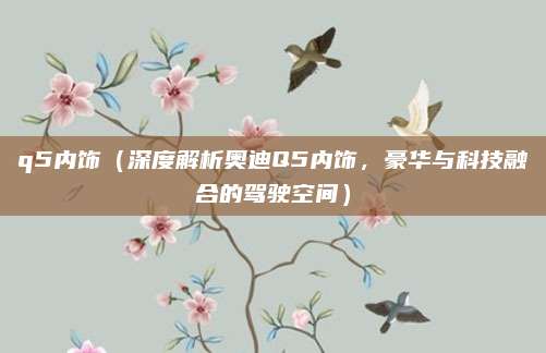 q5内饰(深度解析奥迪Q5内饰,豪华与科技融合的驾驶空间)