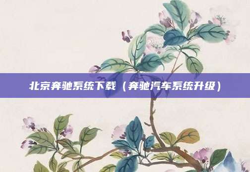 北京奔驰系统下载(奔驰汽车系统升级)