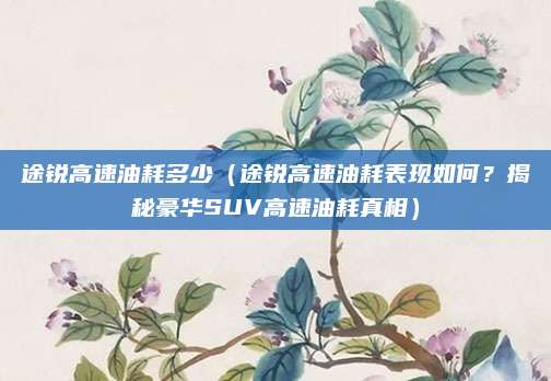 途锐高速油耗多少(途锐高速油耗表现如何?揭秘豪华SUV高速油耗真相)