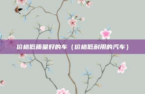 价格低质量好的车(价格低耐用的汽车)