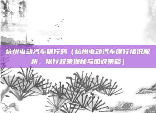杭州电动汽车限行吗(杭州电动汽车限行情况解析,限行政策揭秘与应对策略)