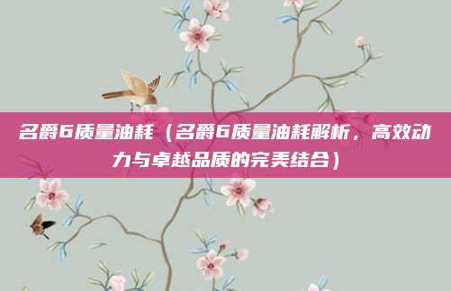 名爵6质量油耗（名爵6质量油耗解析，高效动力与卓越品质的完美结合）