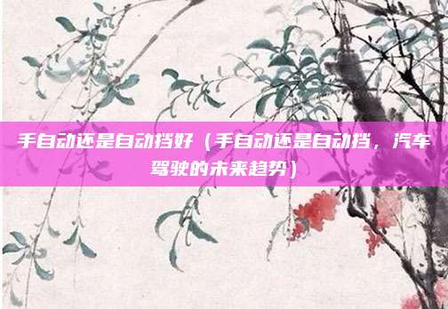 手自动还是自动挡好(手自动还是自动挡,汽车驾驶的未来趋势)