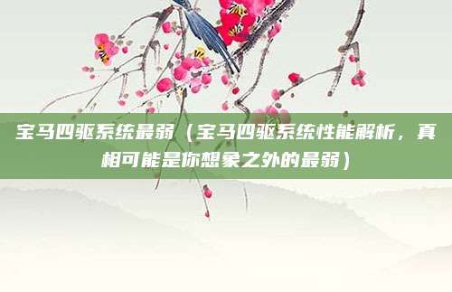宝马四驱系统最弱(宝马四驱系统性能解析,真相可能是你想象之外的最弱)
