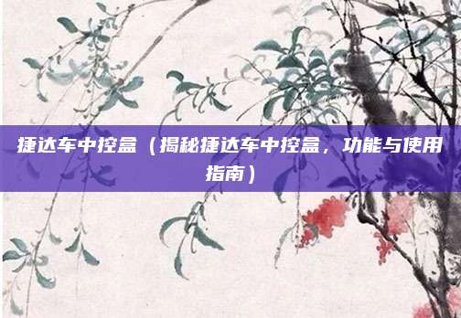 捷达车中控盒(揭秘捷达车中控盒,功能与使用指南)