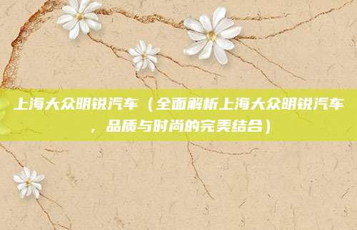 上海大众明锐汽车(全面解析上海大众明锐汽车,品质与时尚的完美结合)