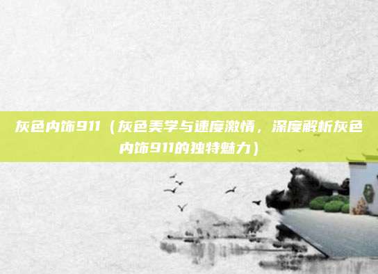 灰色内饰911(灰色美学与速度激情,深度解析灰色内饰911的独特魅力)