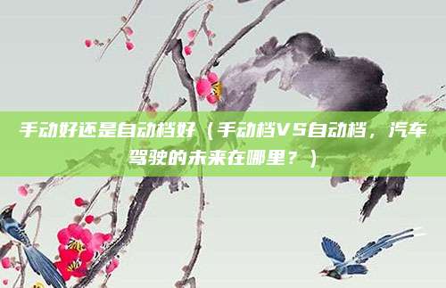手动好还是自动档好(手动档VS自动档,汽车驾驶的未来在哪里?)