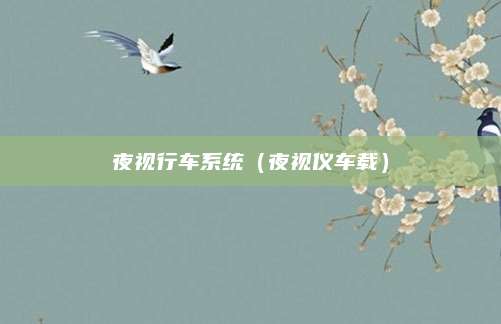 夜视行车系统(夜视仪车载)