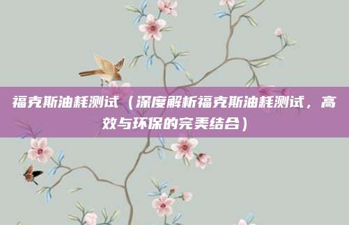 福克斯油耗测试(深度解析福克斯油耗测试,高效与环保的完美结合)