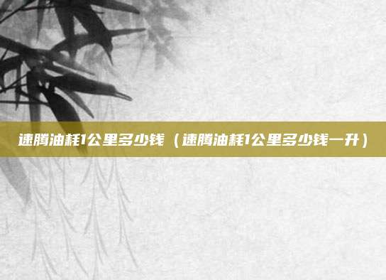 速腾油耗1公里多少钱(速腾油耗1公里多少钱一升)