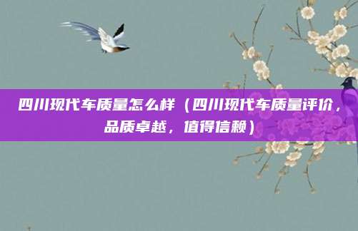 四川现代车质量怎么样（四川现代车质量评价，品质卓越，值得信赖）