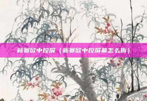 新赛欧中控屏(新赛欧中控屏幕怎么拆)
