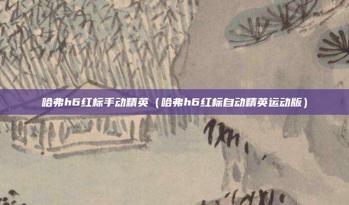 哈弗h6红标手动精英（哈弗h6红标自动精英运动版）