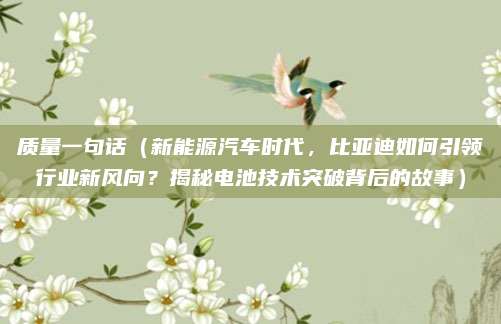 质量一句话(新能源汽车时代,比亚迪如何引领行业新风向?揭秘电池技术突破背后的故事)