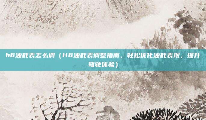 h6油耗表怎么调（H6油耗表调整指南，轻松优化油耗表现，提升驾驶体验）
