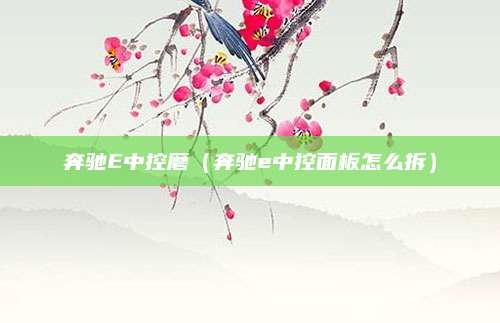 奔驰E中控磨（奔驰e中控面板怎么拆）