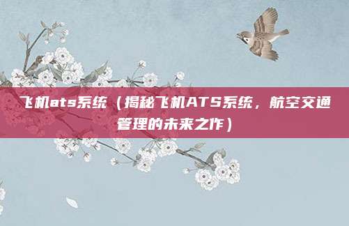 飞机ats系统(揭秘飞机ATS系统,航空交通管理的未来之作)