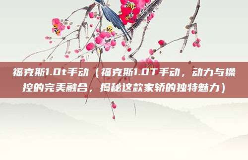 福克斯1.0t手动(福克斯1.0T手动,动力与操控的完美融合,揭秘这款家轿的独特魅力)