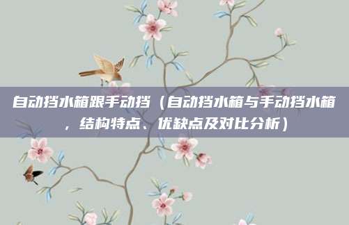自动挡水箱跟手动挡(自动挡水箱与手动挡水箱,结构特点、优缺点及对比分析)