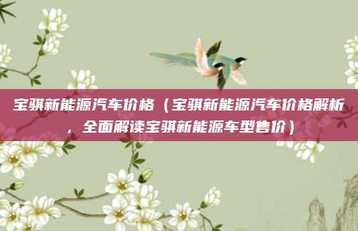 宝骐新能源汽车价格（宝骐新能源汽车价格解析，全面解读宝骐新能源车型售价）