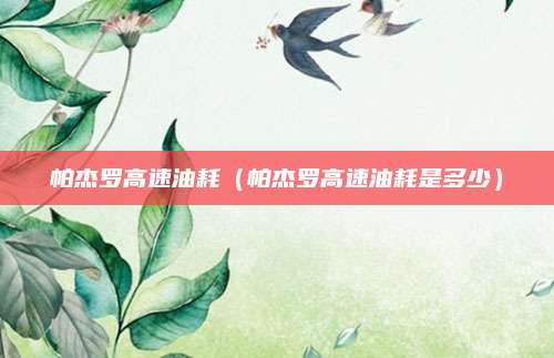 帕杰罗高速油耗(帕杰罗高速油耗是多少)