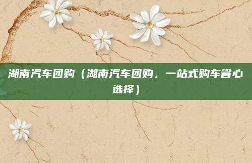 湖南汽车团购(湖南汽车团购,一站式购车省心选择)