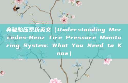 奔驰胎压系统英文（Understanding Mercedes-Benz Tire Pressure Monitoring System: What You Need to Know）