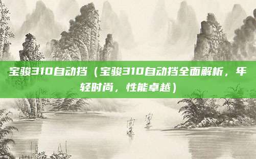 宝骏310自动挡(宝骏310自动挡全面解析,年轻时尚,性能卓越)