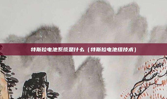 特斯拉电池系统是什么(特斯拉电池组技术)