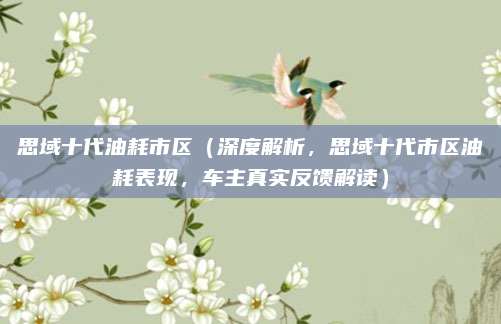 思域十代油耗市区（深度解析，思域十代市区油耗表现，车主真实反馈解读）