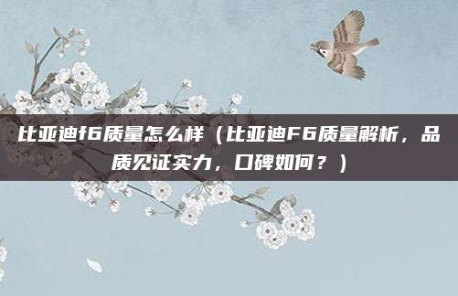 比亚迪f6质量怎么样（比亚迪F6质量解析，品质见证实力，口碑如何？）