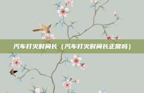 汽车打火时间长(汽车打火时间长正常吗)