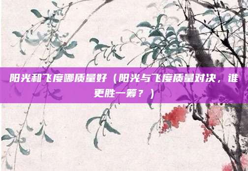 阳光和飞度哪质量好(阳光与飞度质量对决,谁更胜一筹?)
