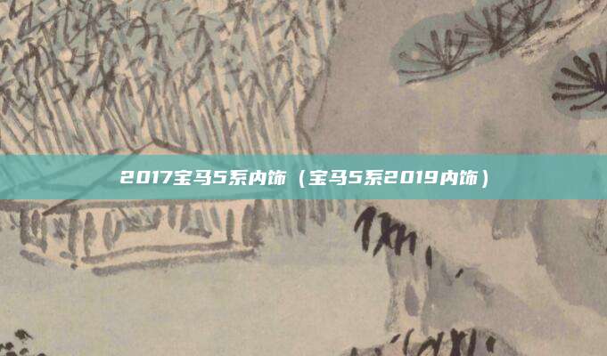 2017宝马5系内饰(宝马5系2019内饰)