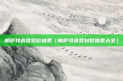 帕萨特选装包价格表(帕萨特选装包价格表大全)