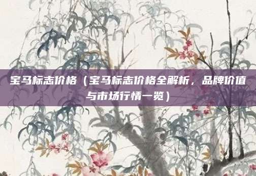 宝马标志价格(宝马标志价格全解析,品牌价值与市场行情一览)