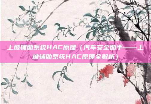 上坡辅助系统HAC原理(汽车安全助手——上坡辅助系统HAC原理全解析)