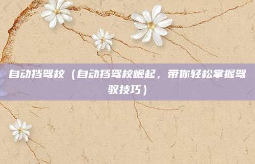 自动挡驾校(自动挡驾校崛起,带你轻松掌握驾驭技巧)