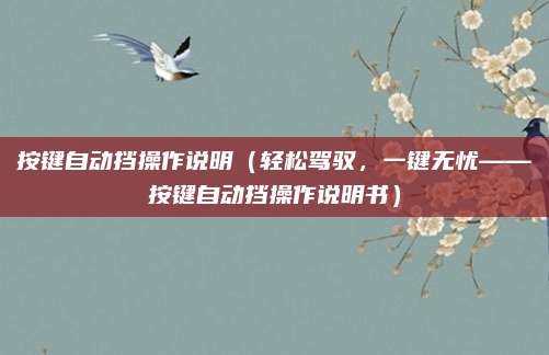 按键自动挡操作说明(轻松驾驭,一键无忧——按键自动挡操作说明书)