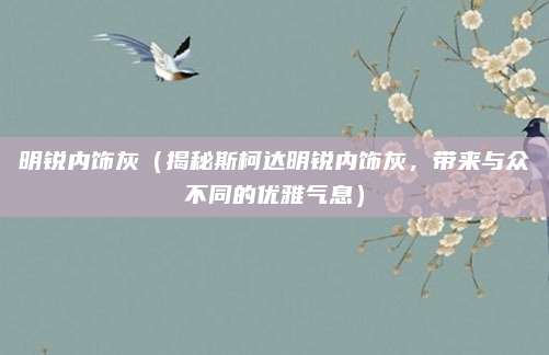 明锐内饰灰(揭秘斯柯达明锐内饰灰,带来与众不同的优雅气息)