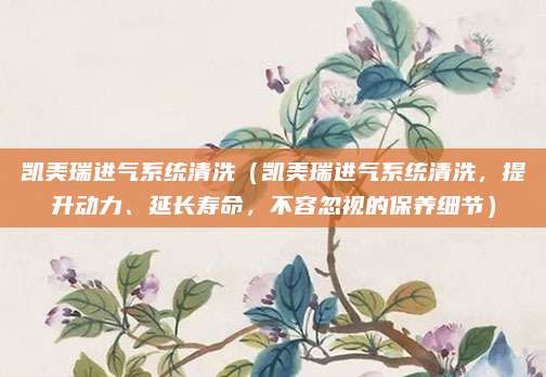 凯美瑞进气系统清洗(凯美瑞进气系统清洗,提升动力、延长寿命,不容忽视的保养细节)