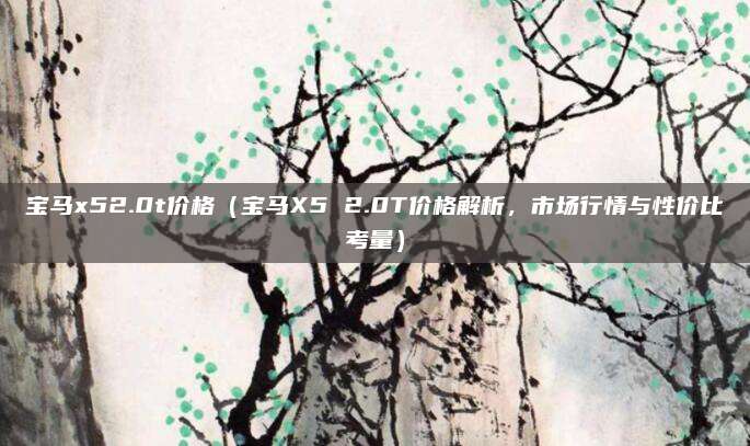 宝马x52.0t价格(宝马X5 2.0T价格解析,市场行情与性价比考量)