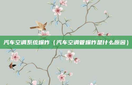 汽车空调系统爆炸(汽车空调管爆炸是什么原因)
