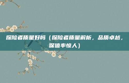 探险者质量好吗(探险者质量解析,品质卓越,保值率惊人)